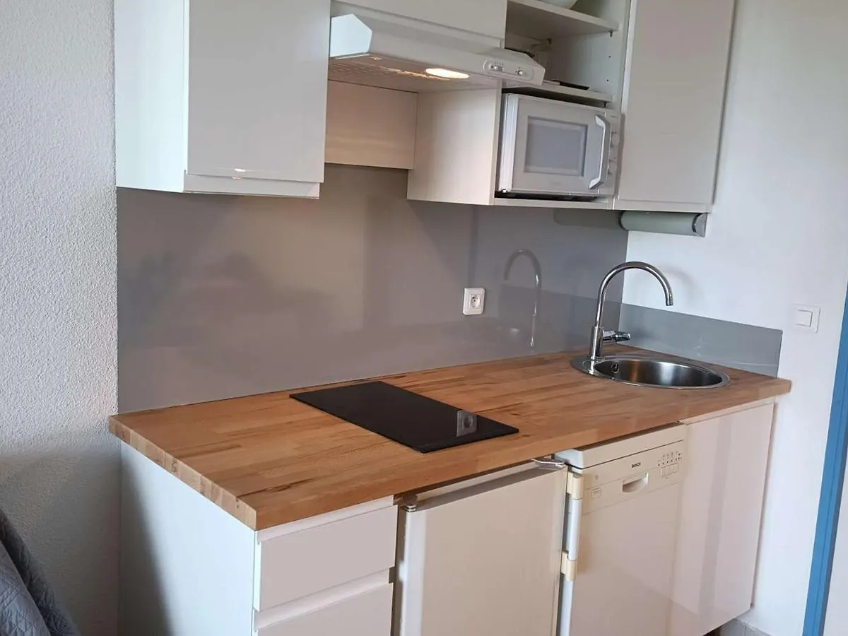 Studio Climatise Avec Terrasse, Piscine Privee Et Acces Mer, Villeneuve-Loubet - Fr-1-252A-38 0*,